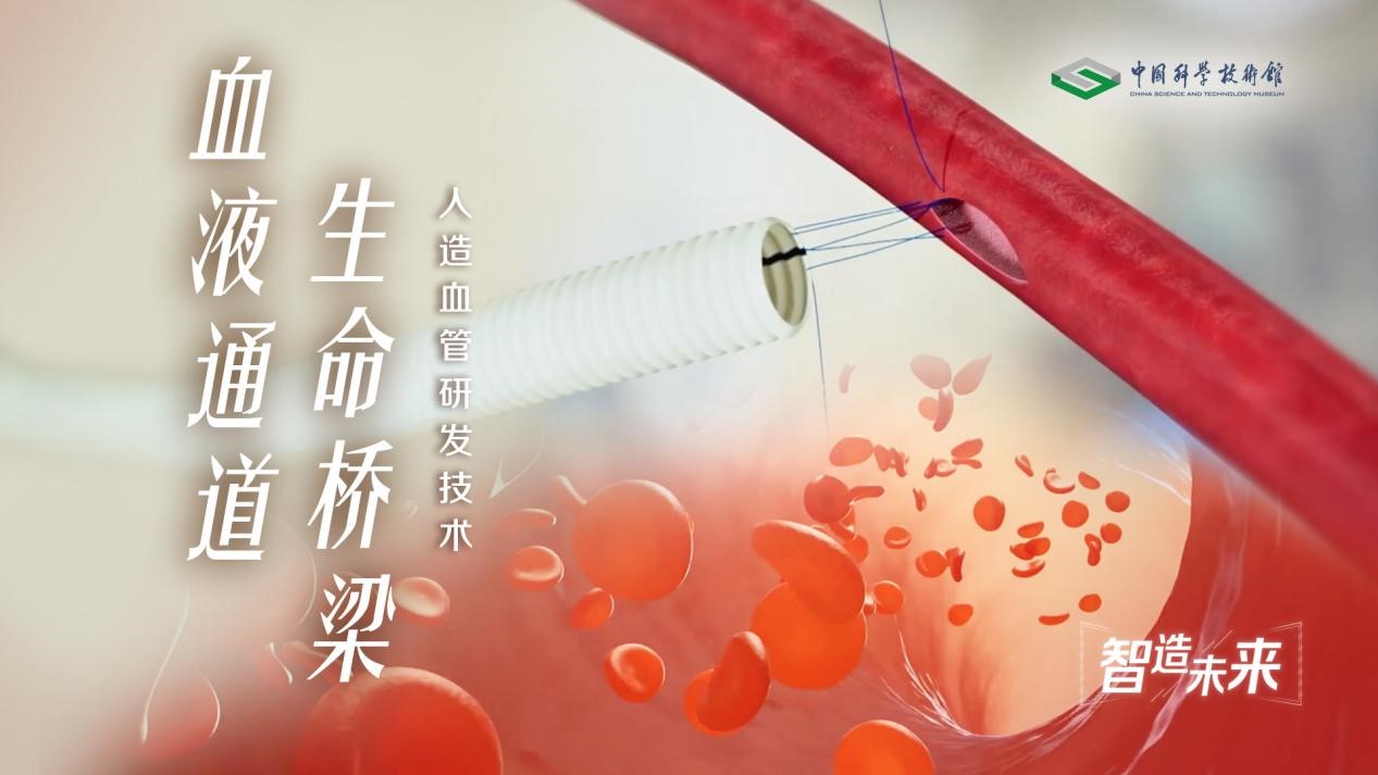 【智造未来】血液通道 生命桥梁——人造血...