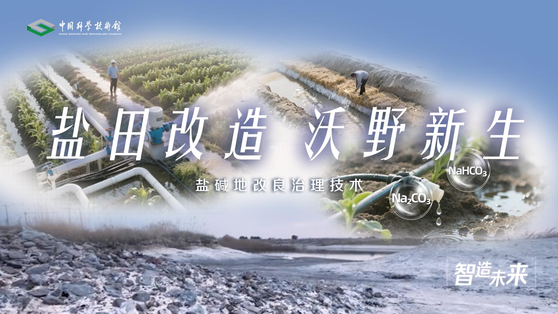 【智造未来】盐田改造 沃野新生——盐碱地...