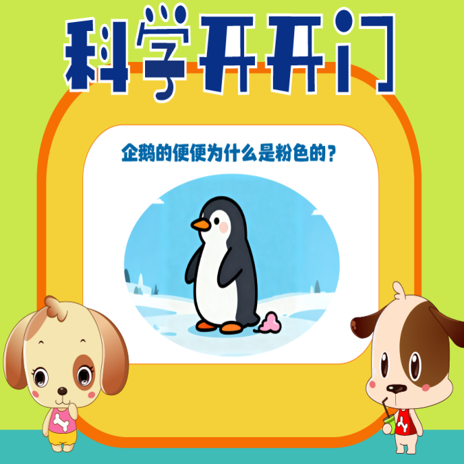 【科学开开门】第464集 企鹅的便便为什么是粉红色的？