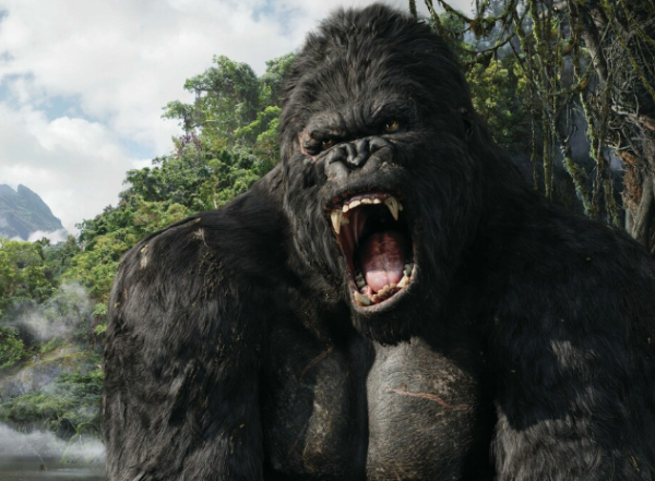 迪士尼,金刚 迪士尼,金刚