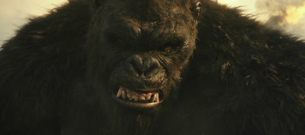 金刚,温子仁,怪兽 金刚,温子仁,怪兽