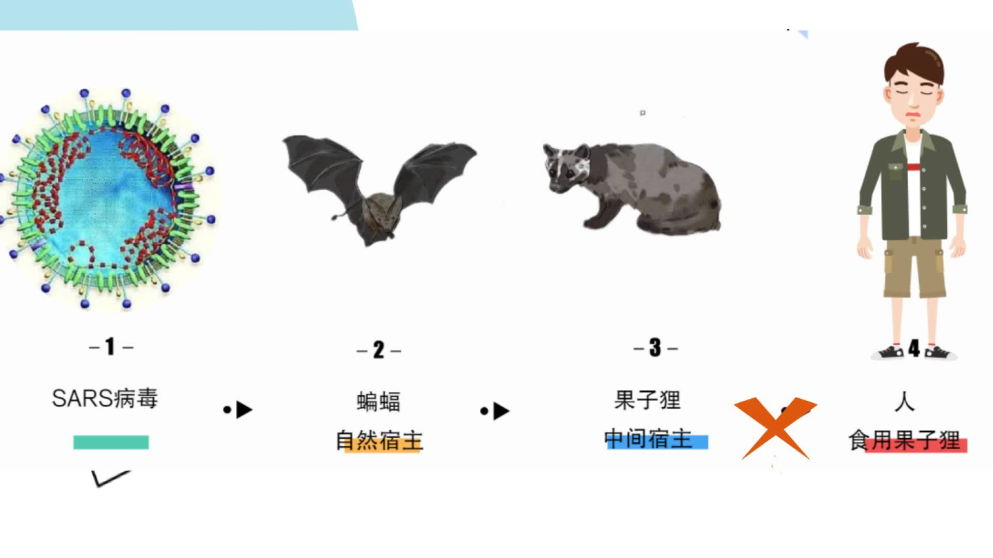 拒绝舌尖上的野生动物